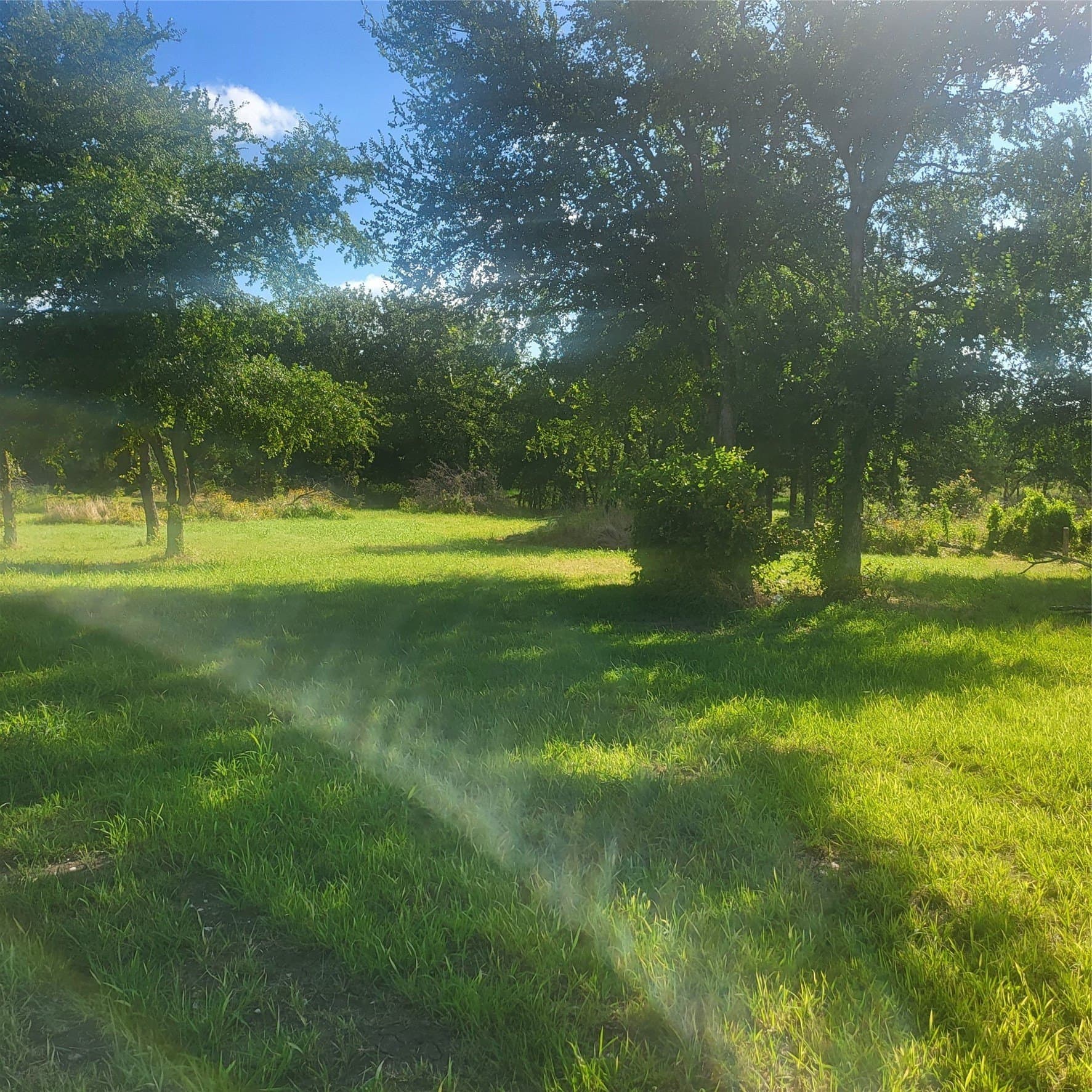 1.9 acres in Hunt County gallery image 3