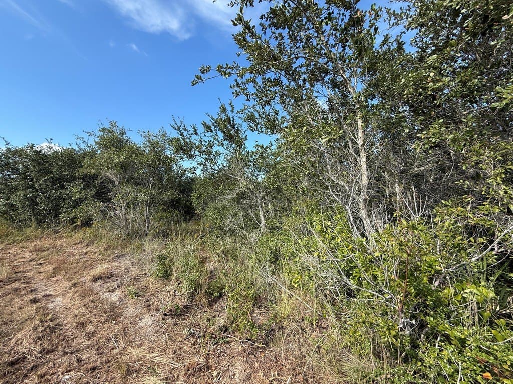 0.68 acres in Texas County - photo 6