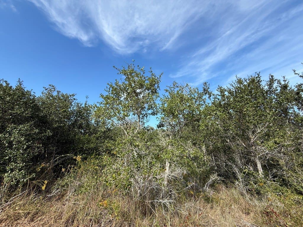 0.68 acres in Texas County - photo 7