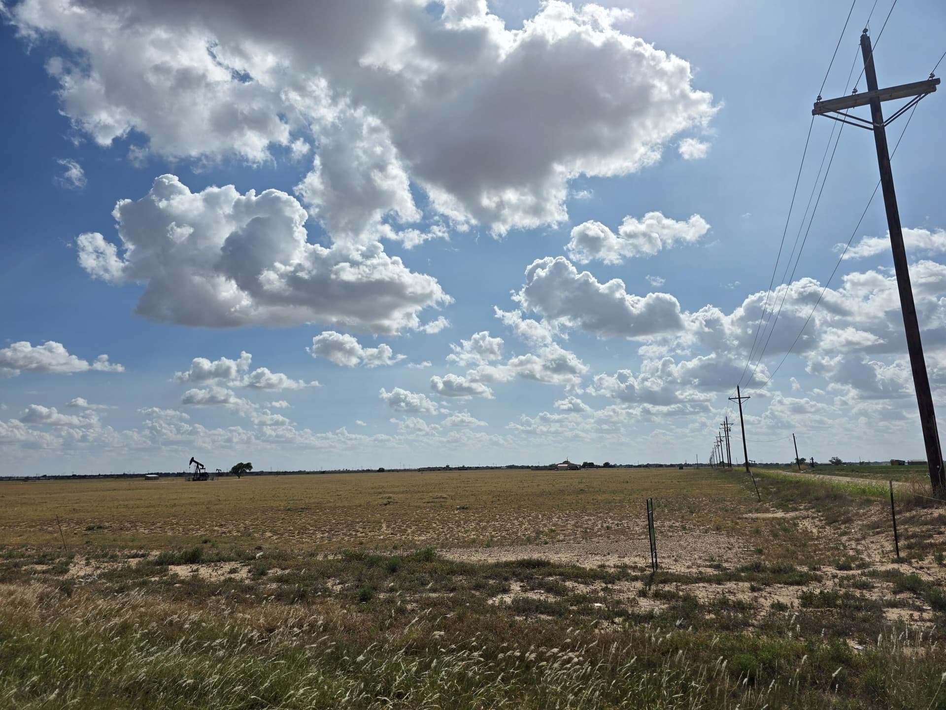 53.31 acres in Lubbock County gallery image 4