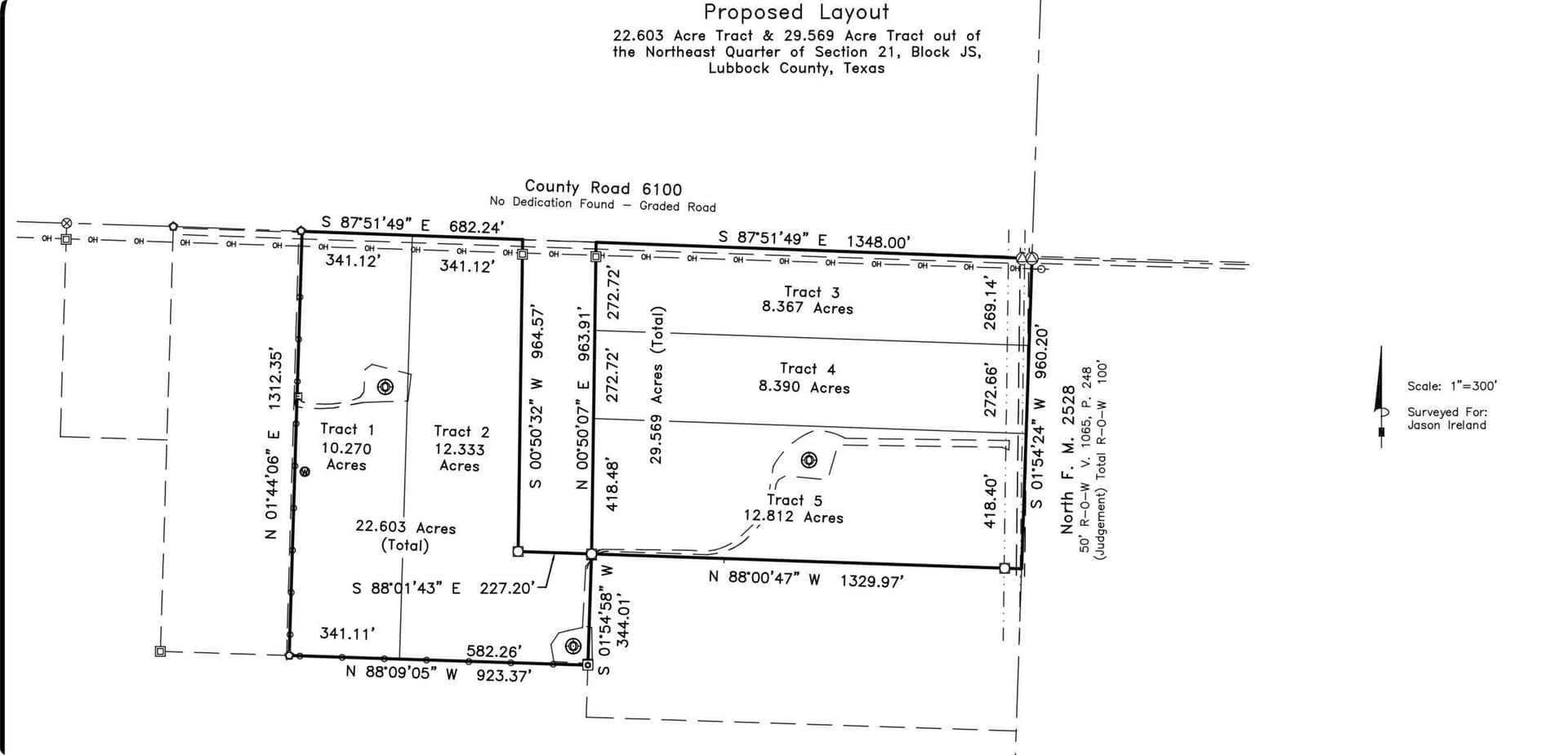 53.31 acres in Lubbock County gallery image 2