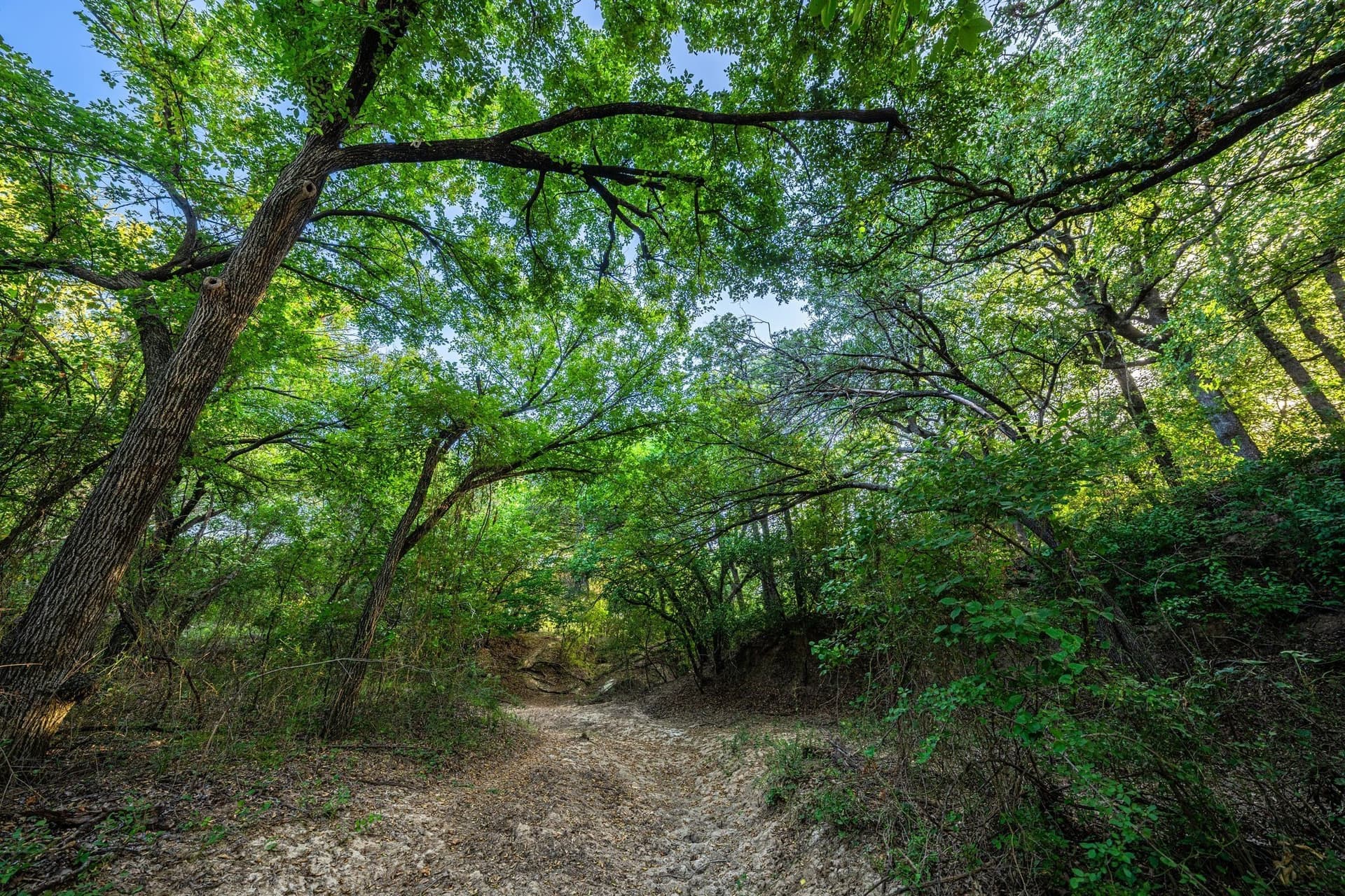 235.29 acres in Comanche County - photo 10
