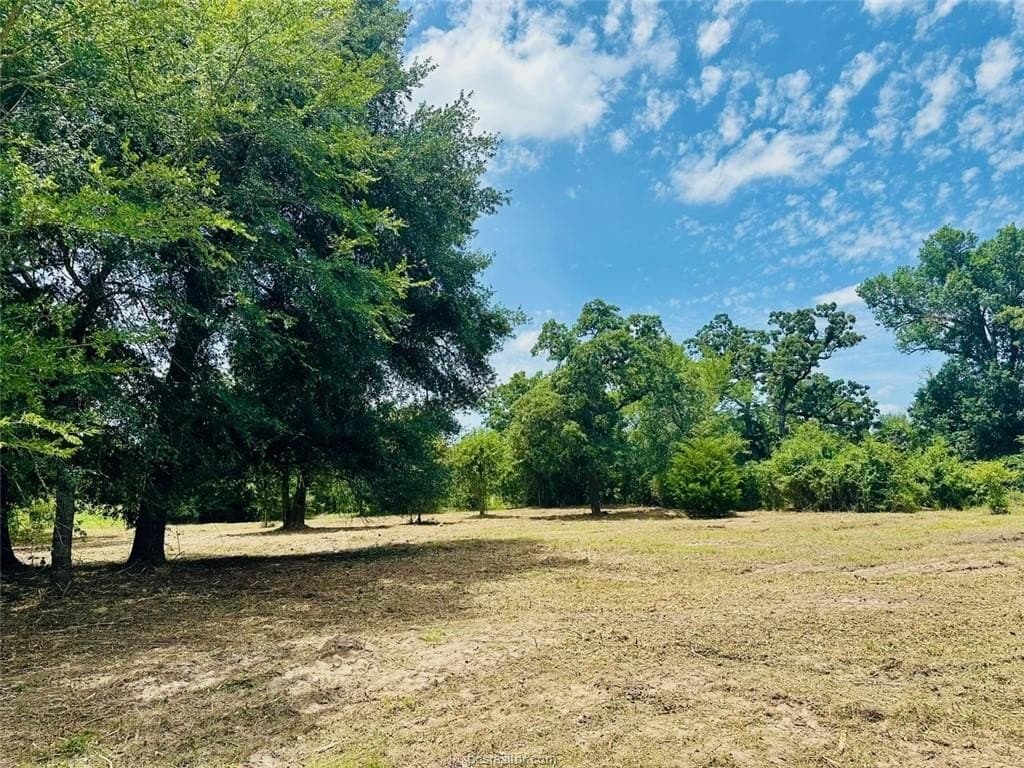 2.3 acres in Grimes County - photo 13