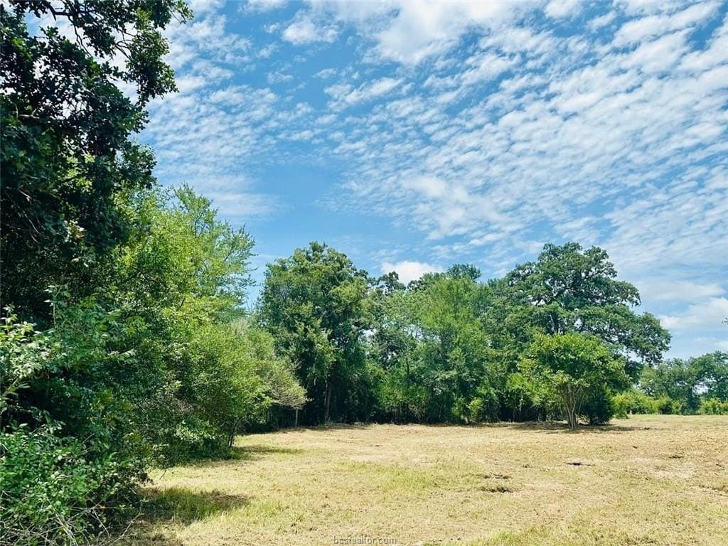 2.3 acres in Grimes County - photo 10