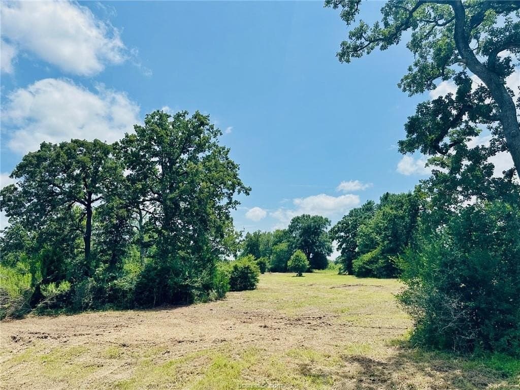 2.3 acres in Grimes County - photo 14