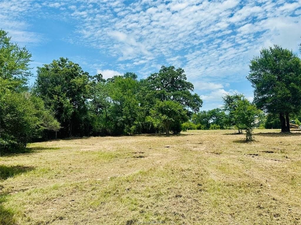 2.3 acres in Grimes County - photo 11
