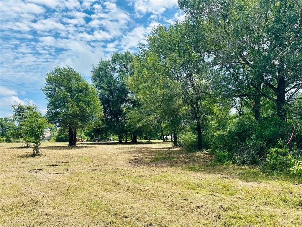 2.3 acres in Grimes County - photo 12