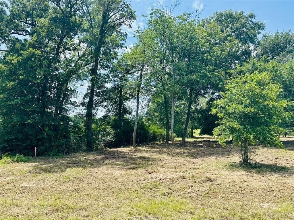 2.3 acres in Grimes County - photo 9