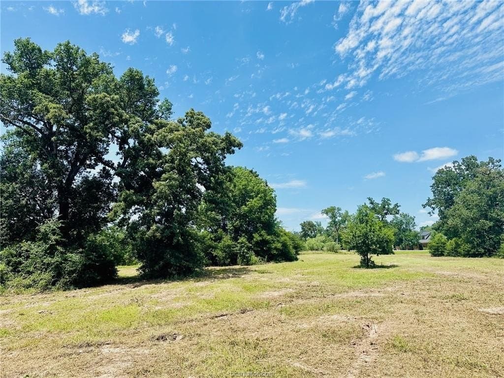 2.3 acres in Grimes County - photo 15