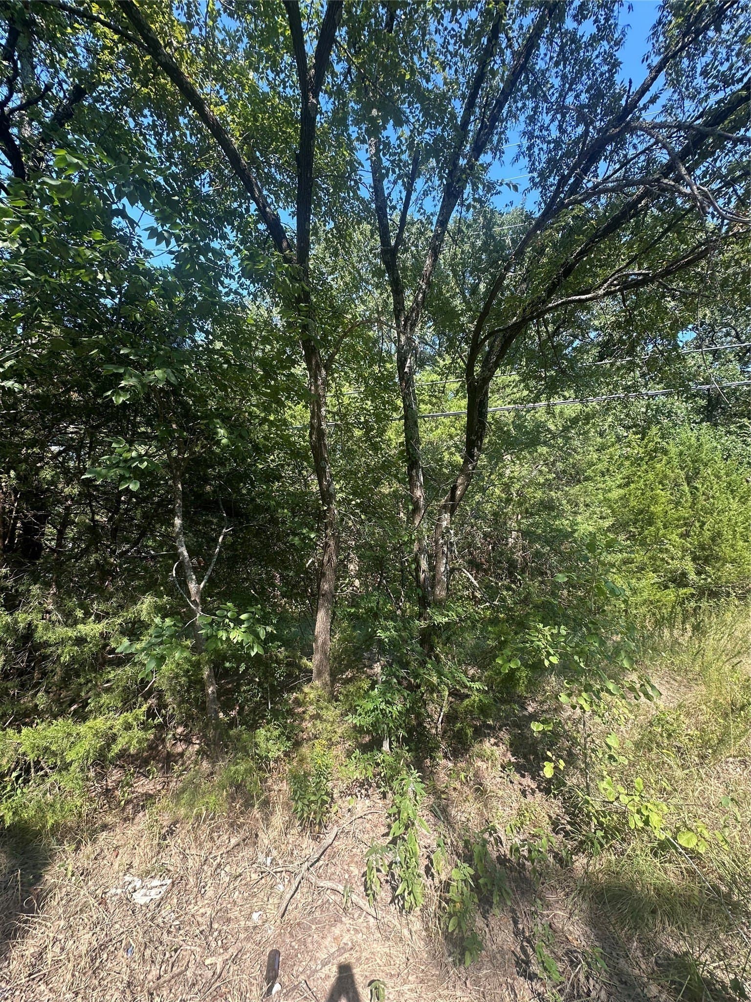 0.83 acres in Hunt County gallery image 3