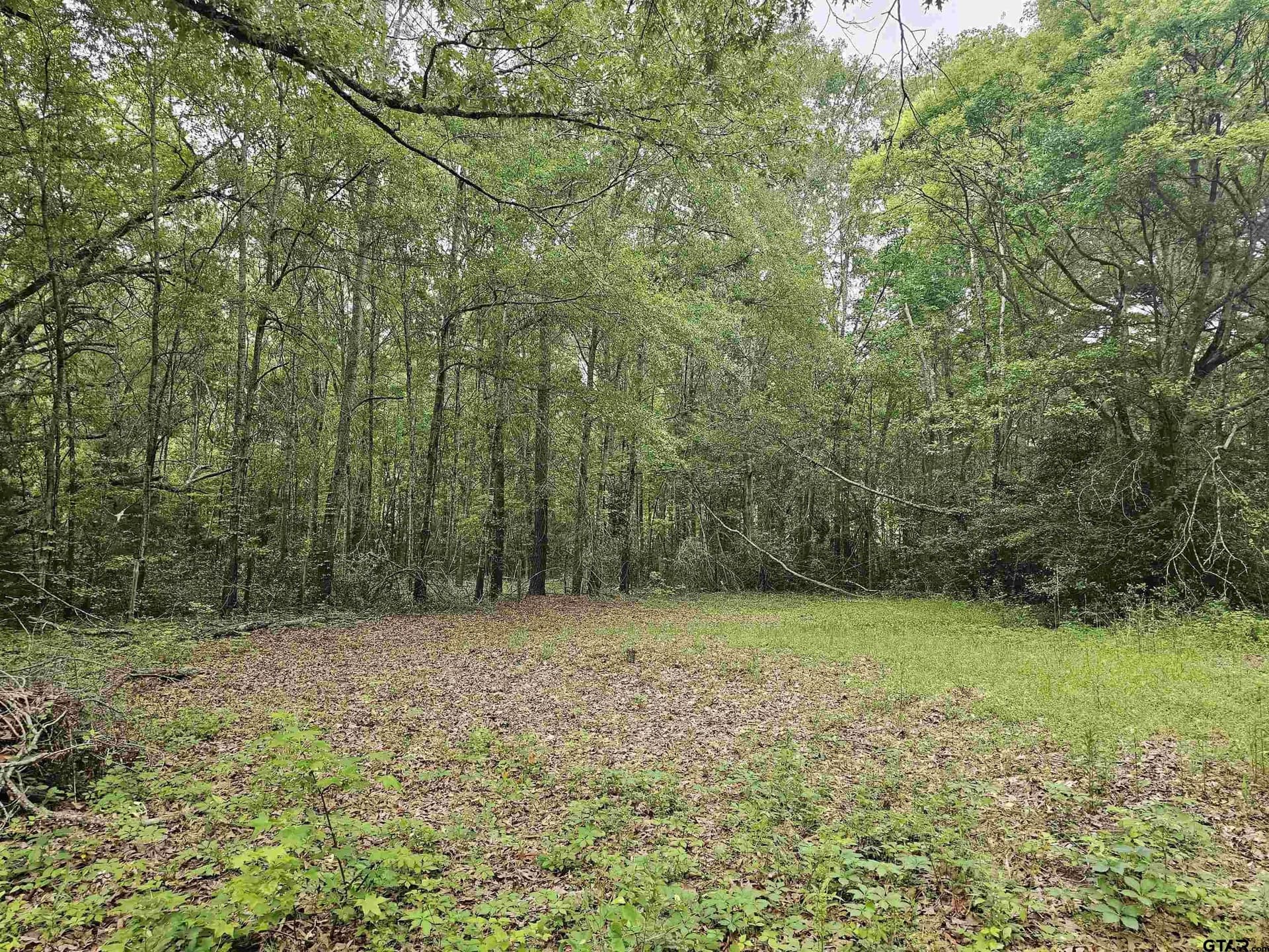 0.52 acres in Rusk County gallery image 3