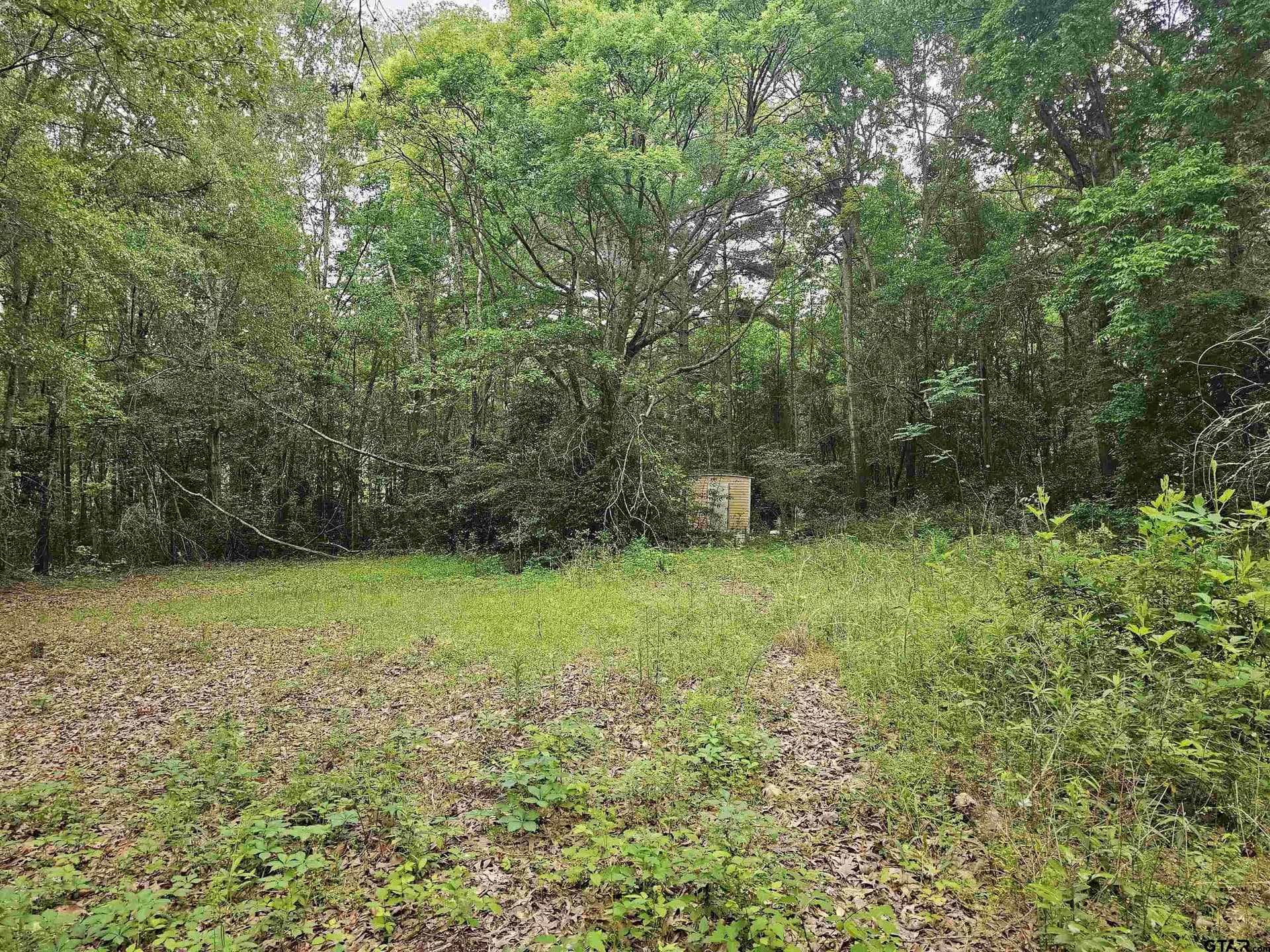 0.52 acres in Rusk County gallery image 4