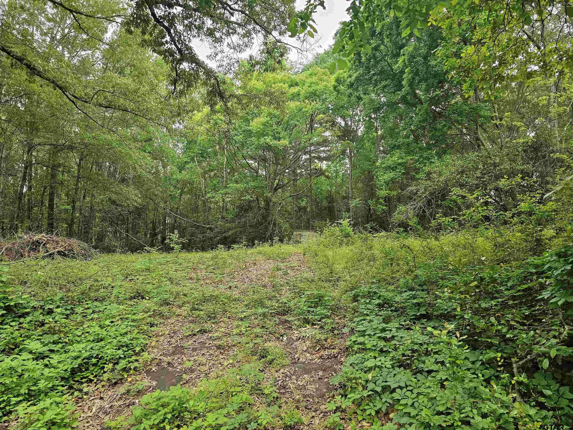 0.52 acres in Rusk County gallery image 2
