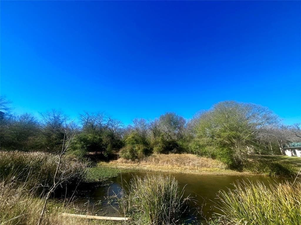 1 acres in Limestone County gallery image 2