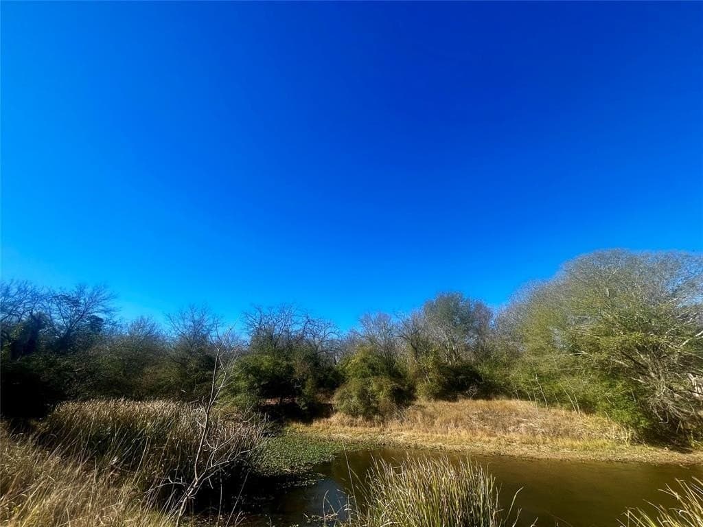1 acres in Limestone County gallery image 4