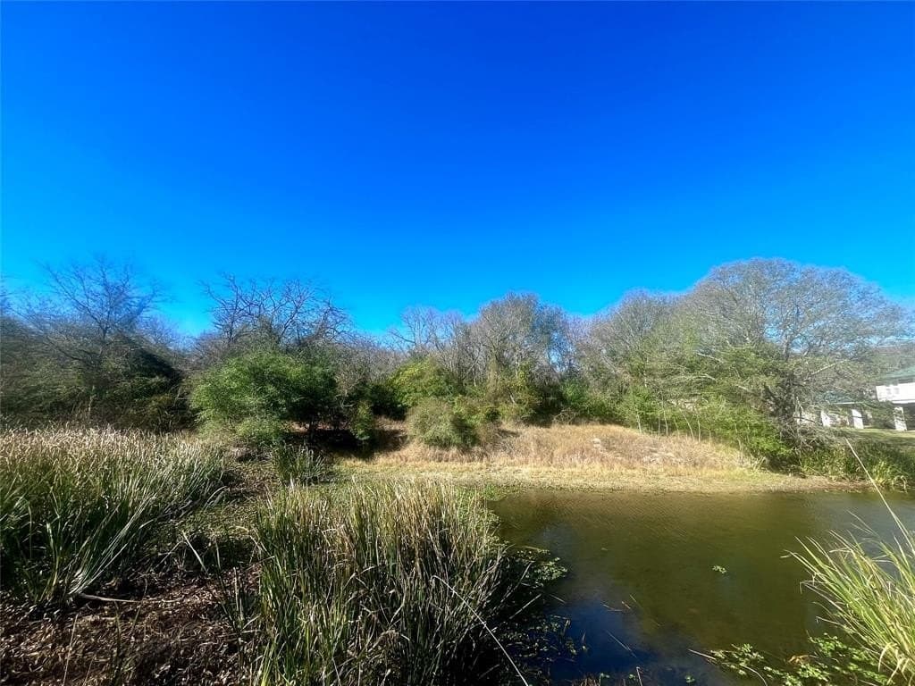 1 acres in Limestone County gallery image 3