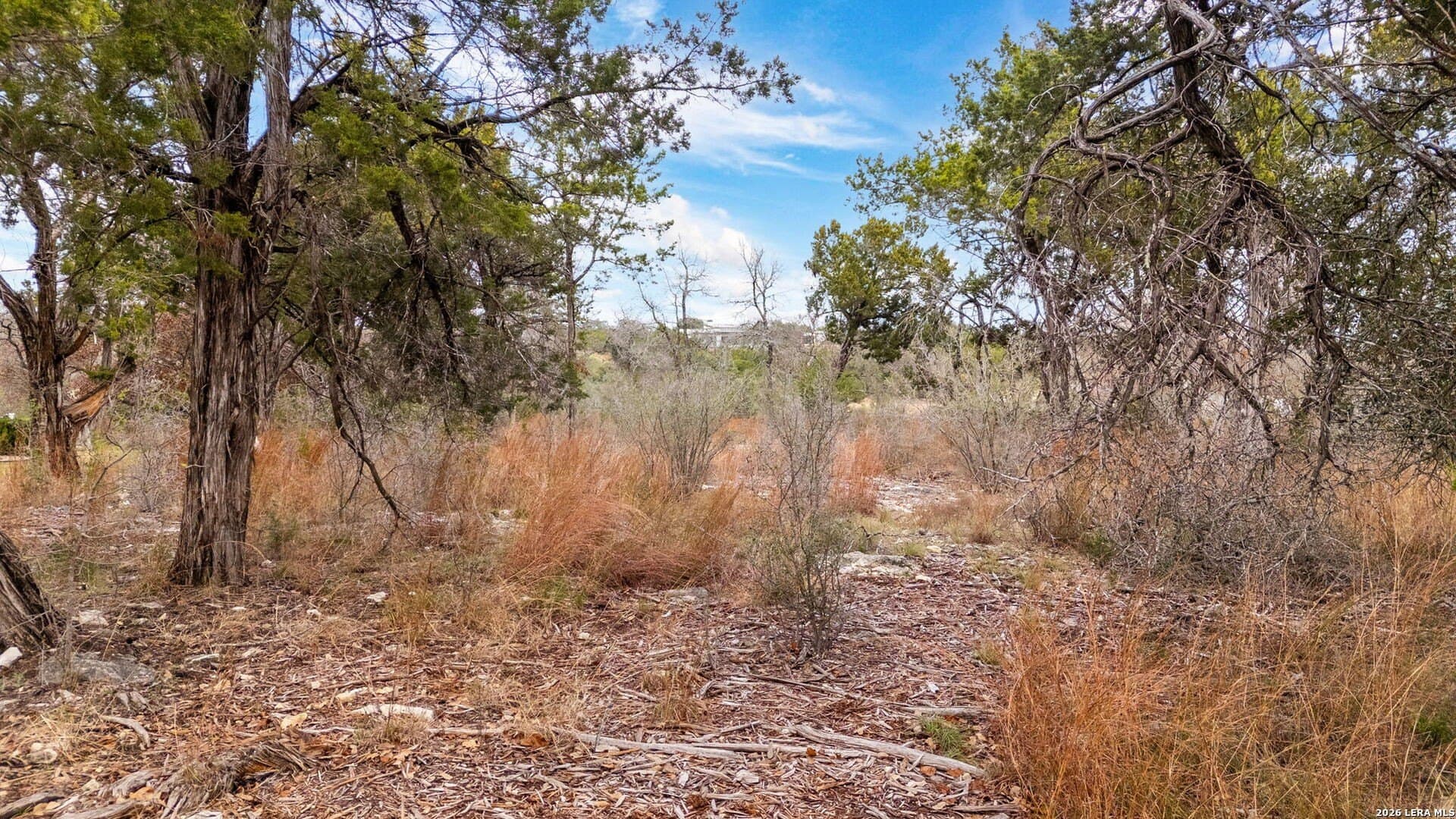 1.47 acres in Kendall County - photo 8