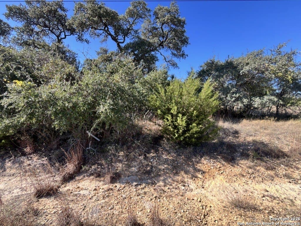 0.23 acres in Blanco County - photo 23