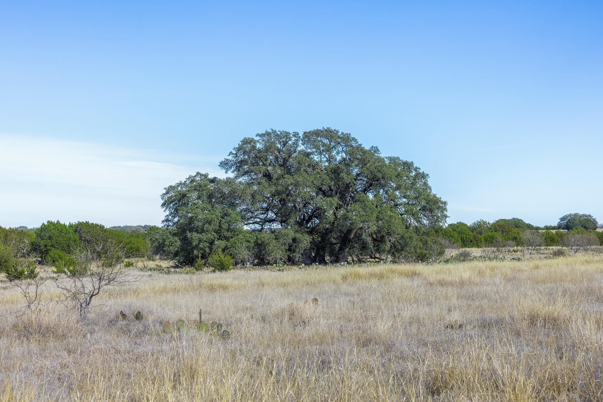 10.36 acres in Burnet County gallery image 2