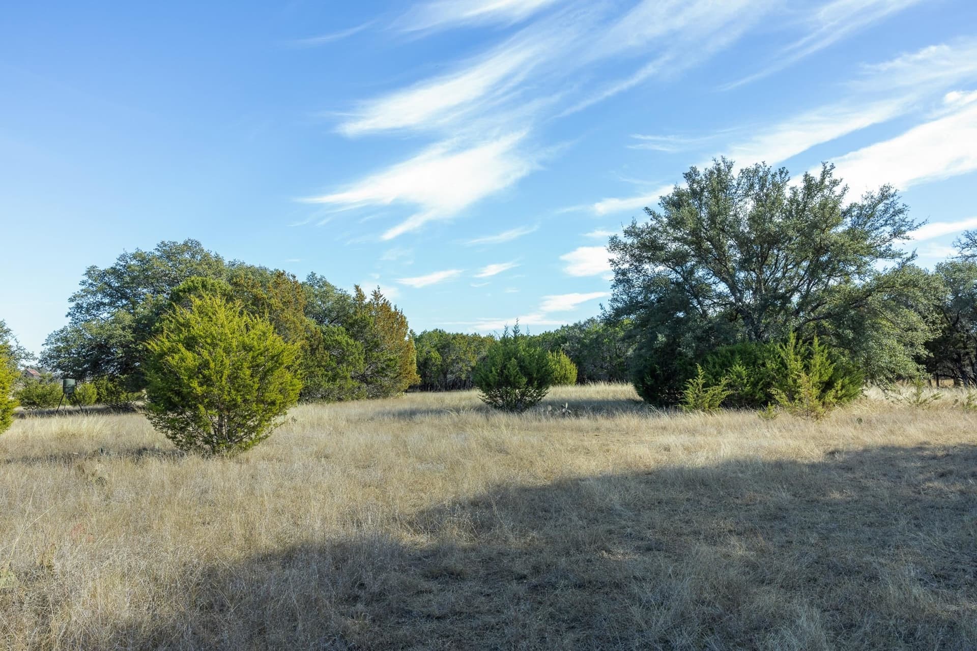 10.36 acres in Burnet County gallery image 4