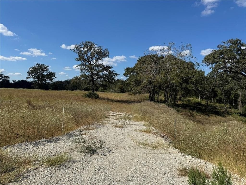 3.04 acres in Leon County - photo 8