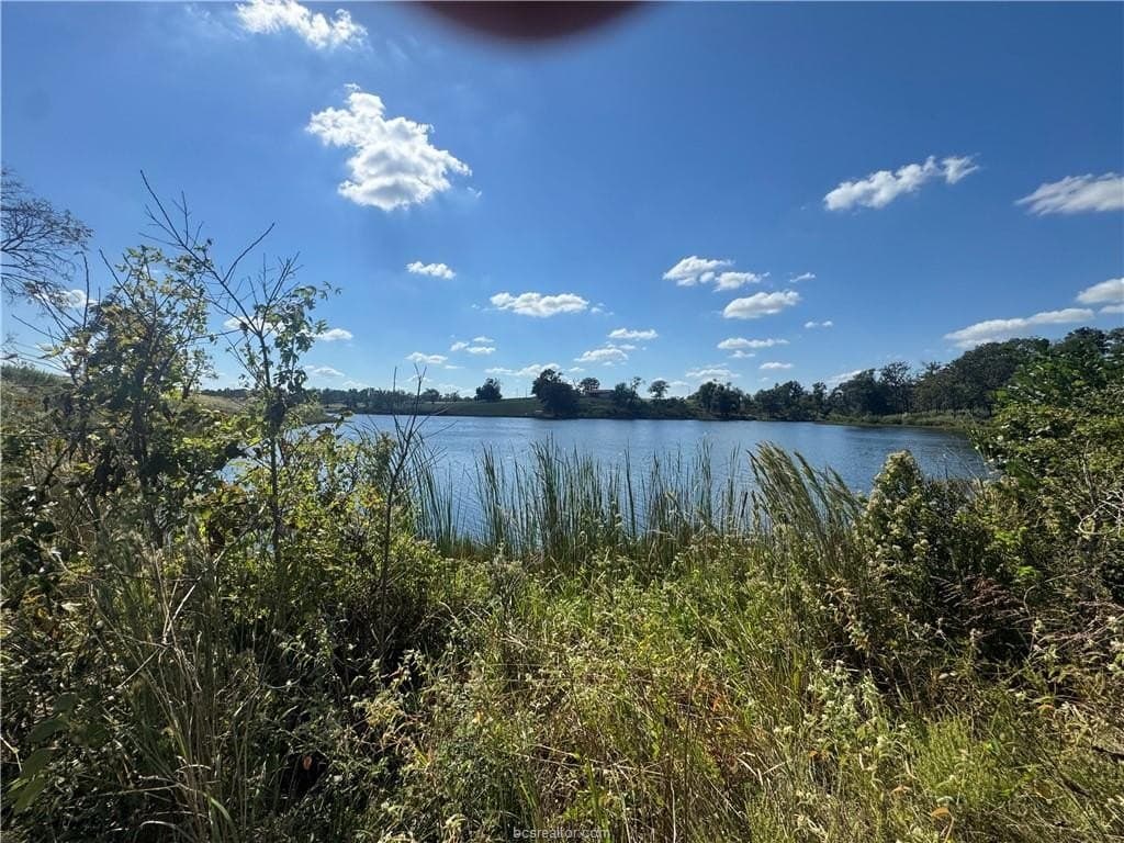 3.04 acres in Leon County - photo 6