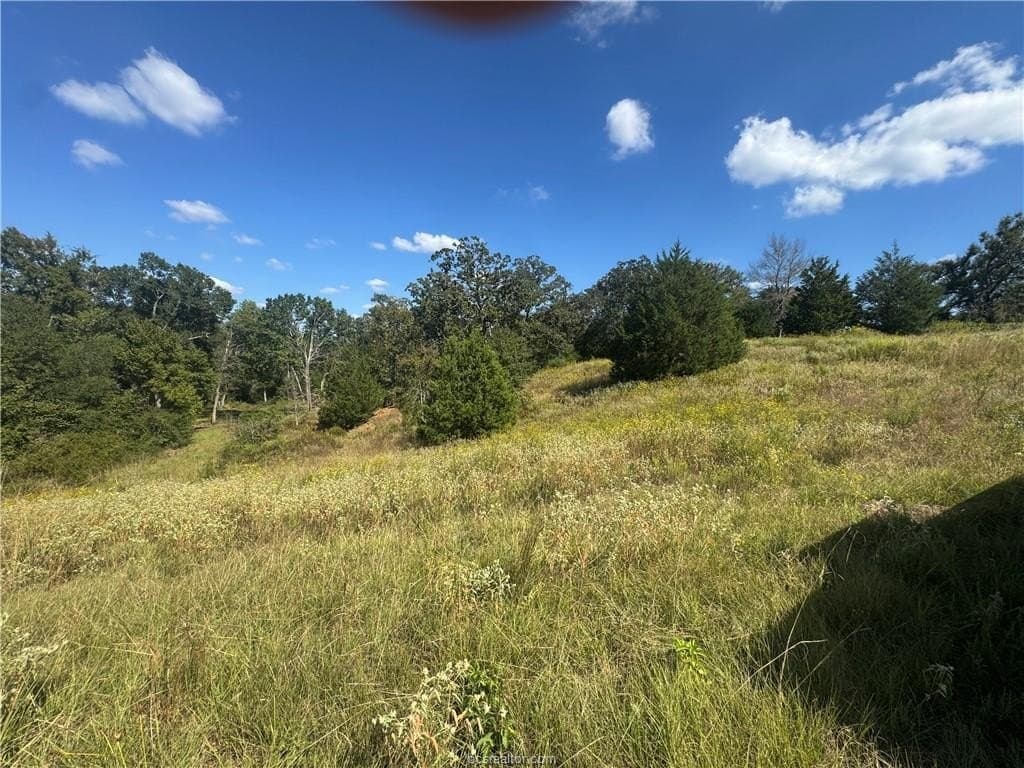 3.04 acres in Leon County - photo 7