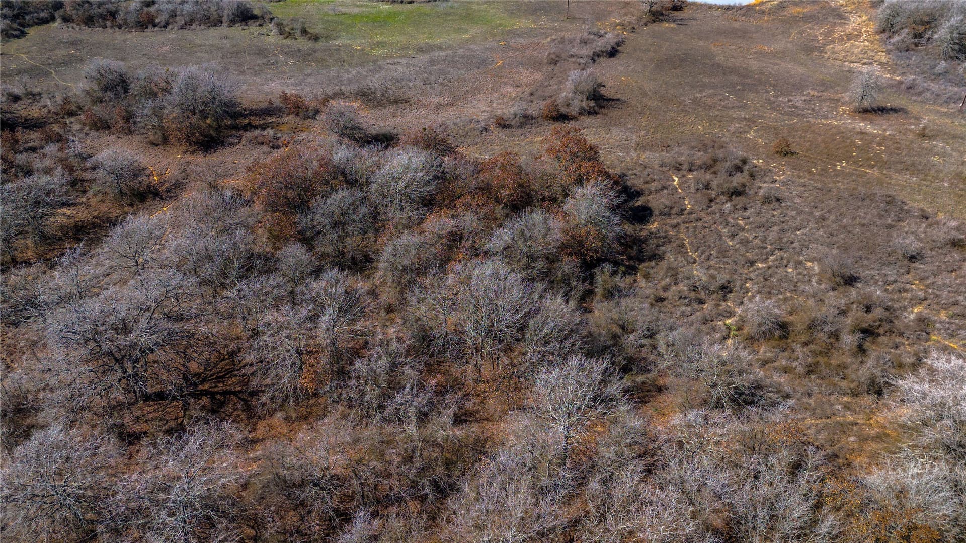 39.72 acres in Wise County - photo 16