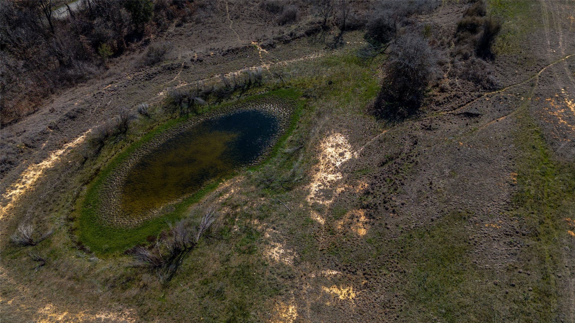 39.72 acres in Wise County - photo 15