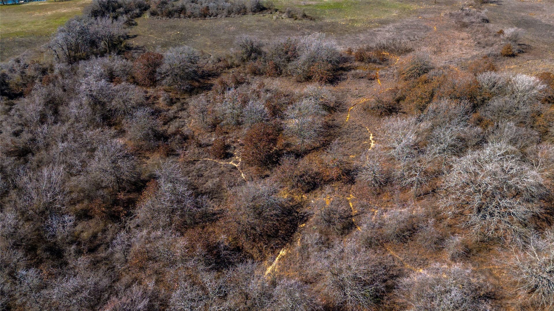 39.72 acres in Wise County - photo 17