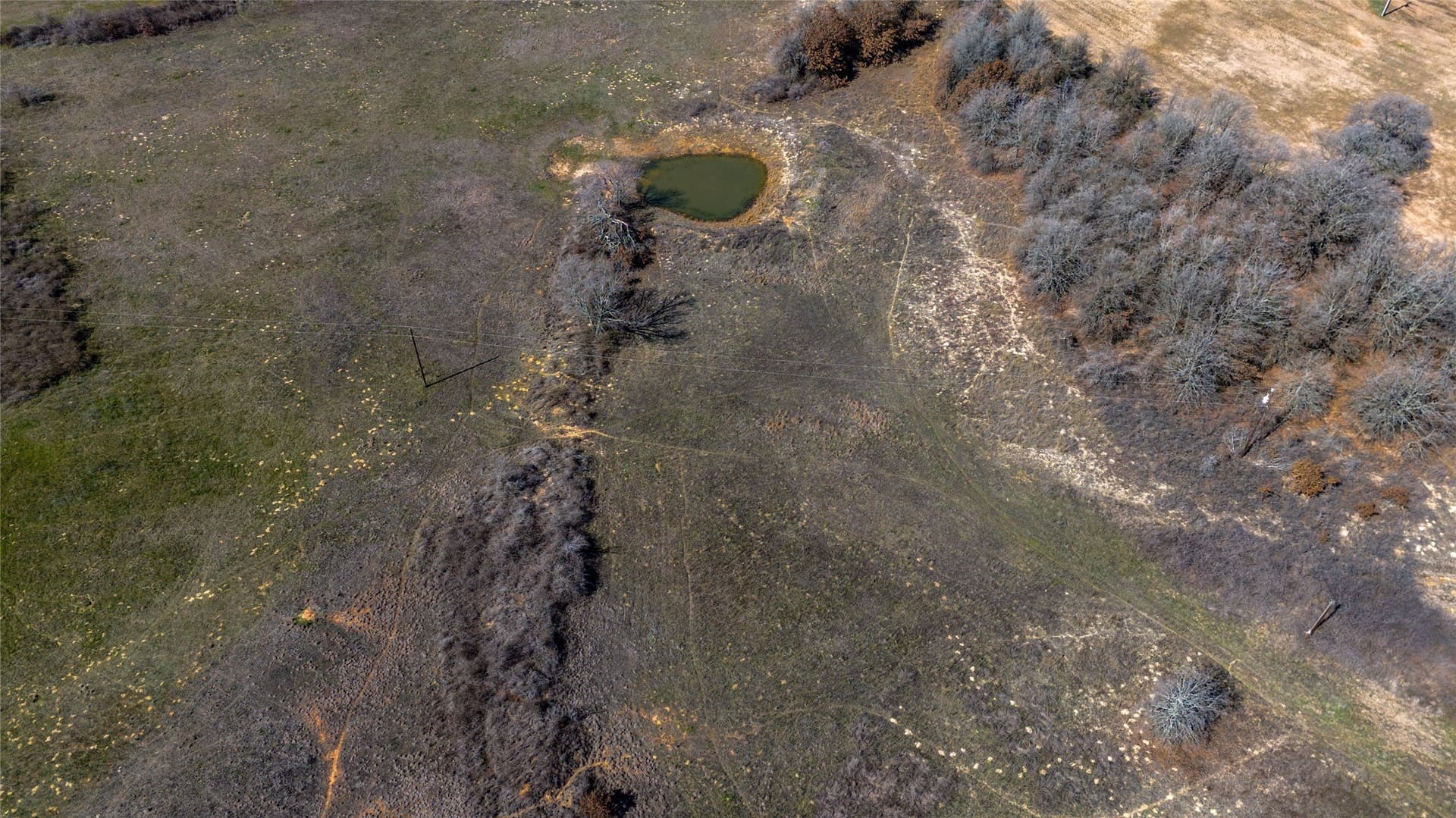 39.72 acres in Wise County - photo 7