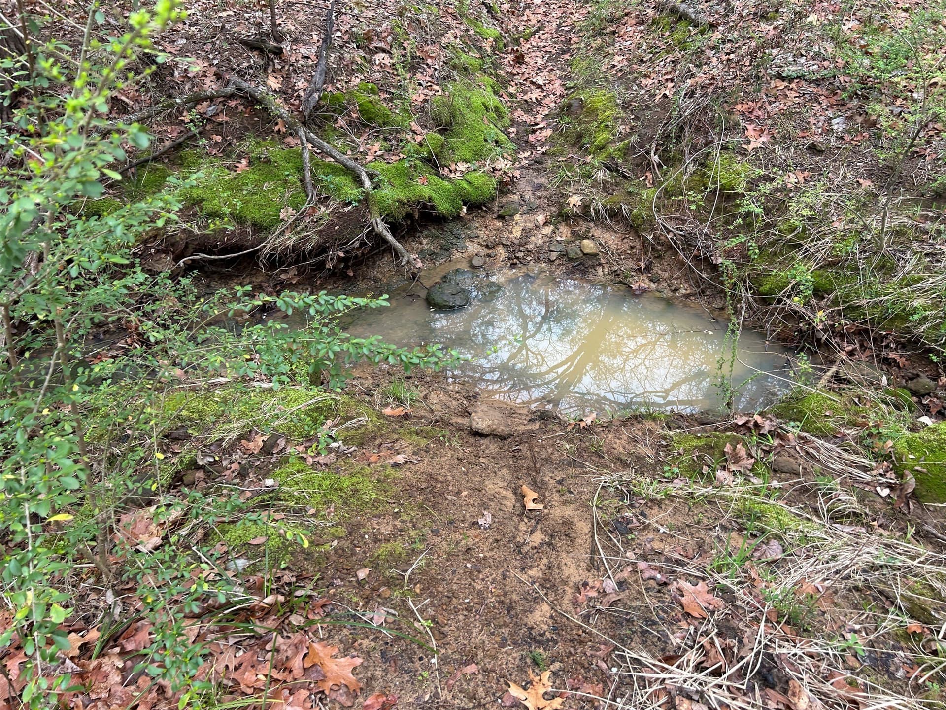 4.02 acres in Grayson County featured view