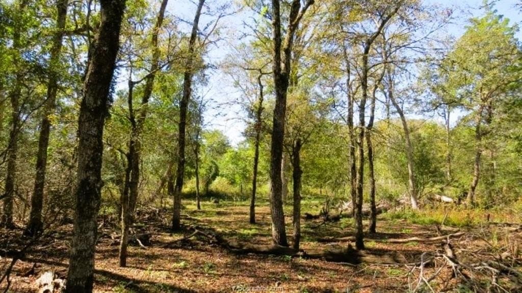 45.52 acres in Robertson County - photo 8