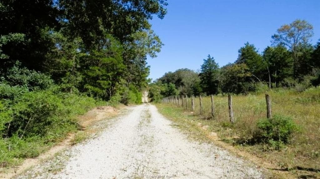 45.52 acres in Robertson County - photo 16