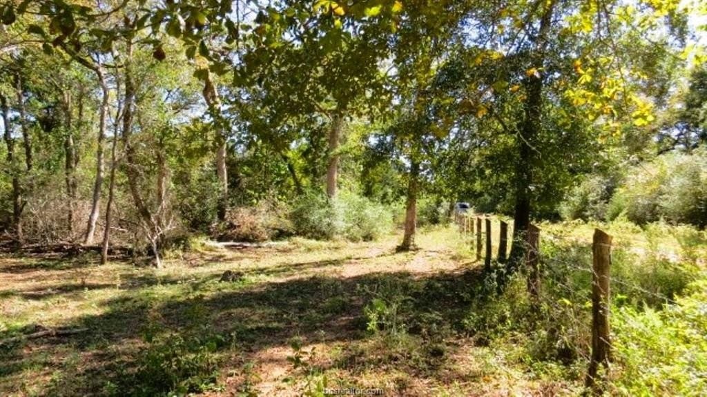 45.52 acres in Robertson County - photo 9