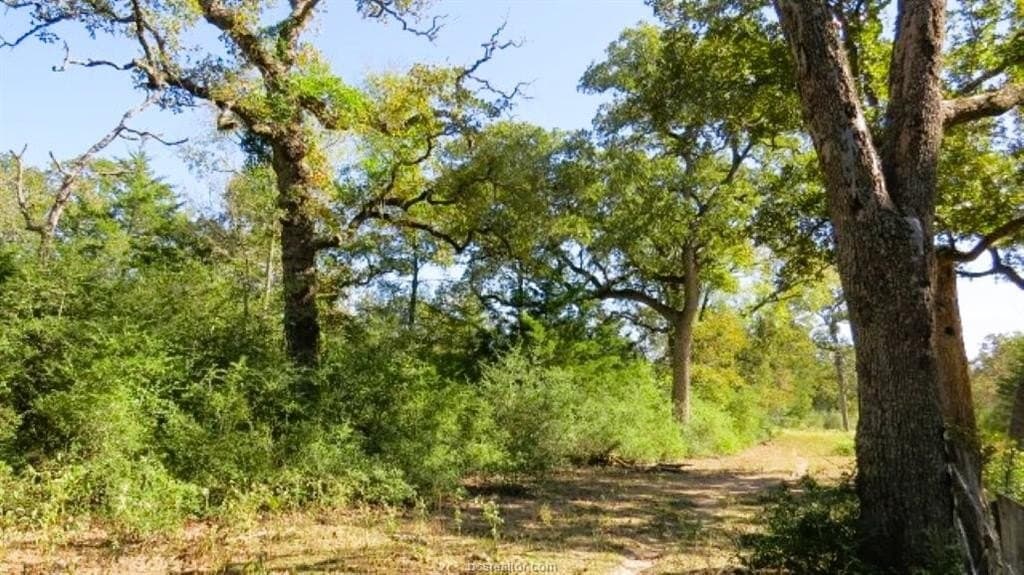 45.52 acres in Robertson County - photo 12