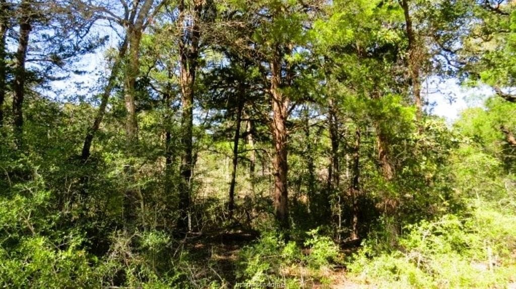 45.52 acres in Robertson County - photo 10