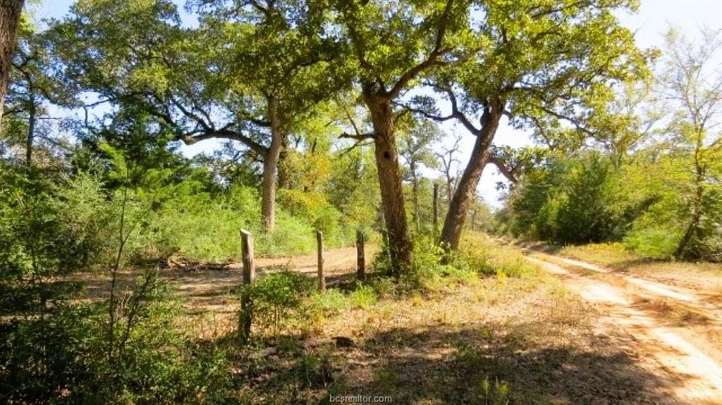 45.52 acres in Robertson County - photo 13