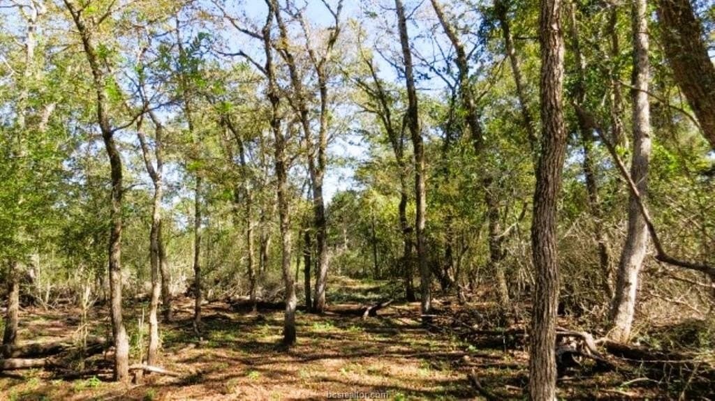 45.52 acres in Robertson County - photo 6