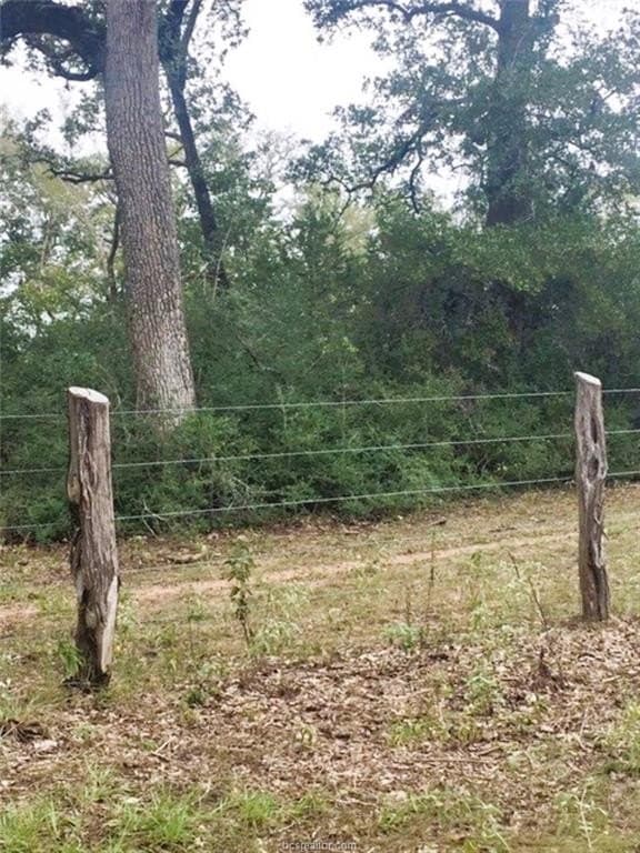 45.52 acres in Robertson County gallery image 4