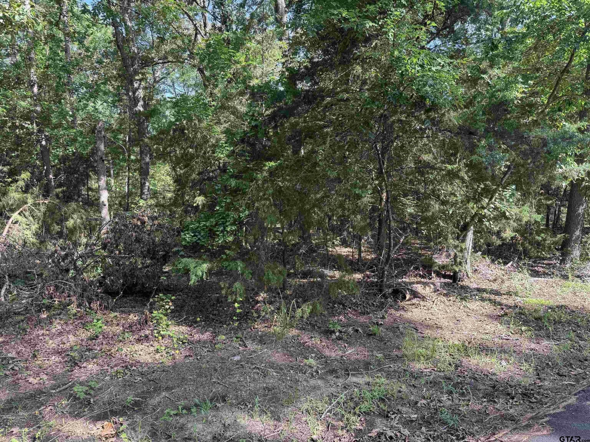 0.3 acres in Franklin County gallery image 3