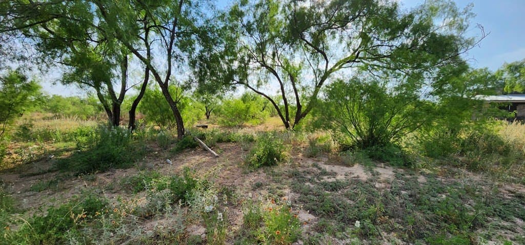 0.96 acres in Maverick County featured view