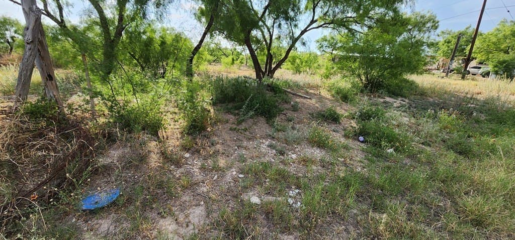 0.96 acres in Maverick County gallery image 2