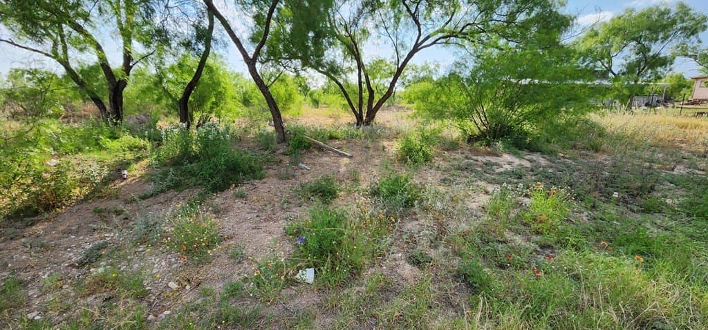 0.96 acres in Maverick County gallery image 4