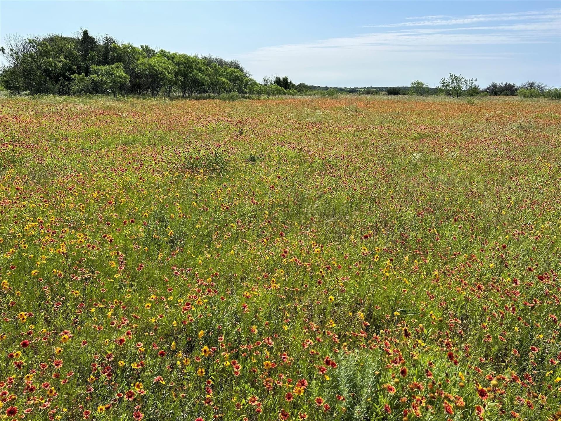24.64 acres in Comanche County - photo 19