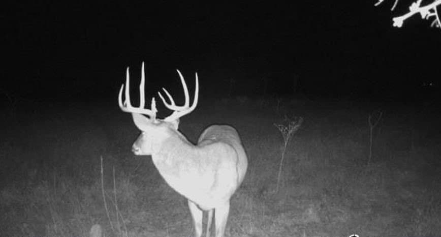 24.64 acres in Comanche County gallery image 4