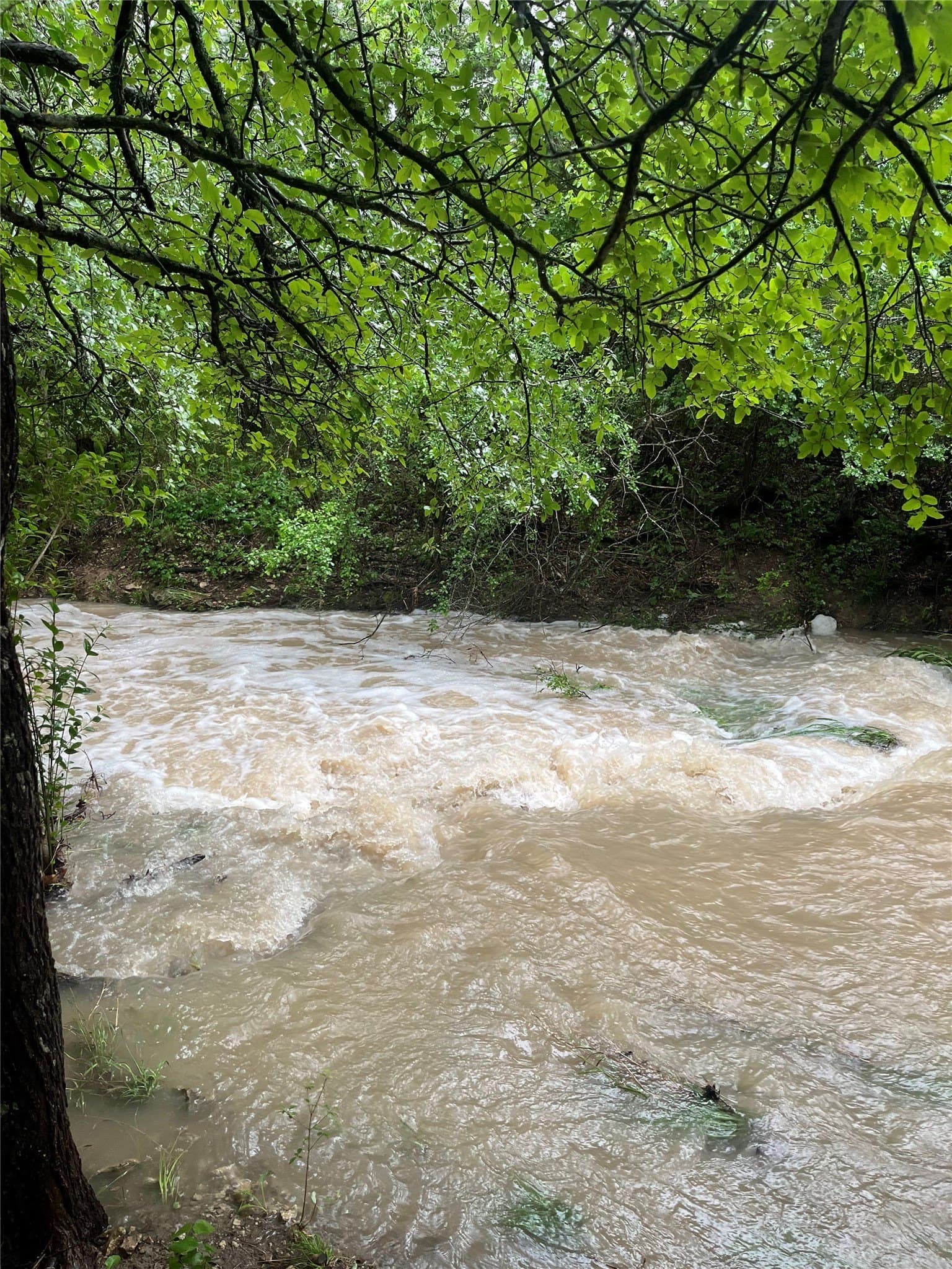 20 acres in Bosque County gallery image 2