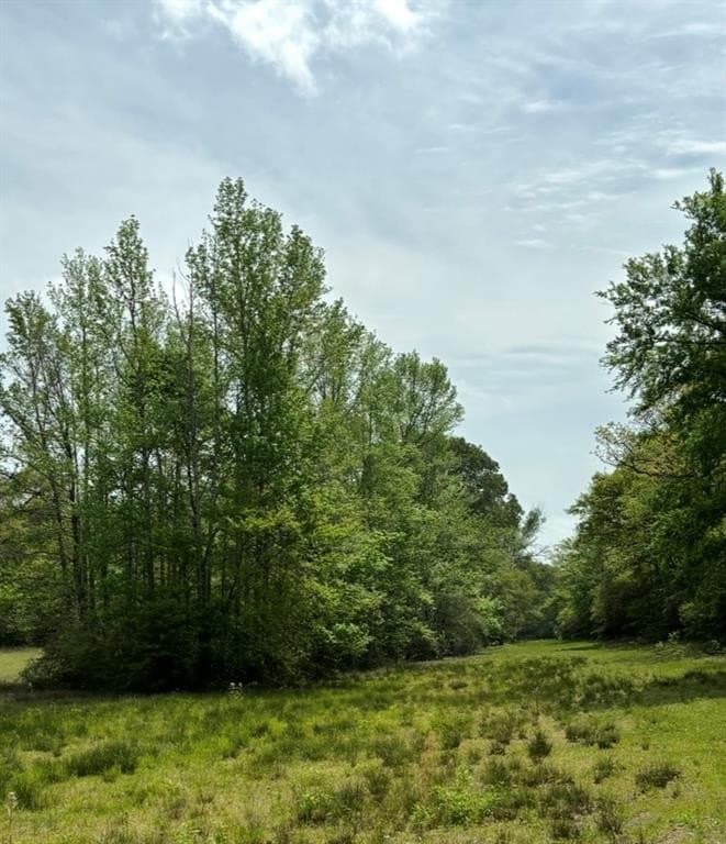 10.6 acres in Leon County featured view