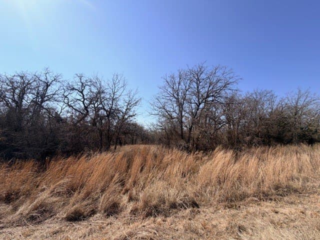 2 acres in Parker County - photo 11