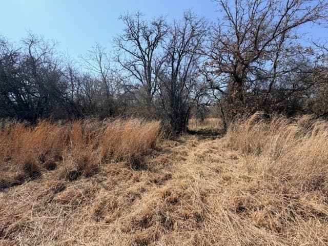 2 acres in Parker County - photo 14